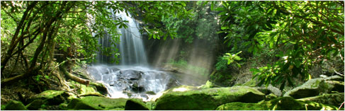 www.hdcloths.theultimatecloth.com EcoFriendly Solutions